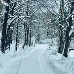 Forrest Glamp Mimo Jablonné v Podještědí