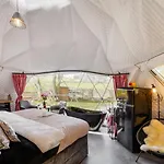 Forrest Glamp Mimo