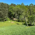 Forrest Glamp Mimo Jablonné v Podještědí