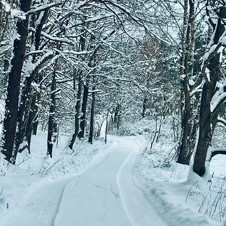 Forrest Glamp Mimo Jablonne v Podjestedi