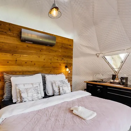 Forrest Glamp Mimo *