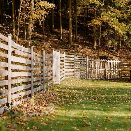 Forrest Glamp Mimo Jablonné v Podještědí
