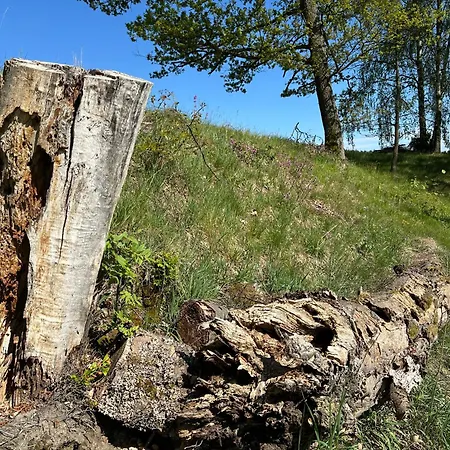 Forrest Glamp Mimo خيمة فخمة *