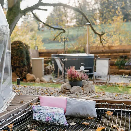 Forrest Glamp Mimo *