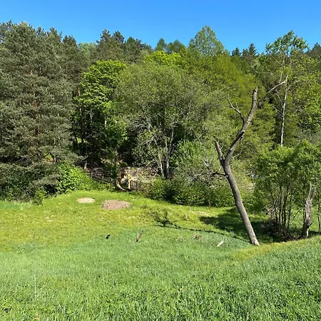 Forrest Glamp Mimo Jablonne v Podjestedi