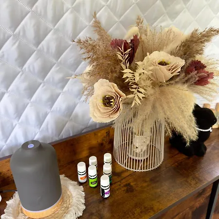 ラグジュアリーテント Forrest Glamp Mimo *