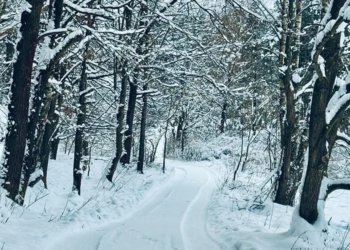 Forrest Glamp Mimo Jablonné v Podještědí