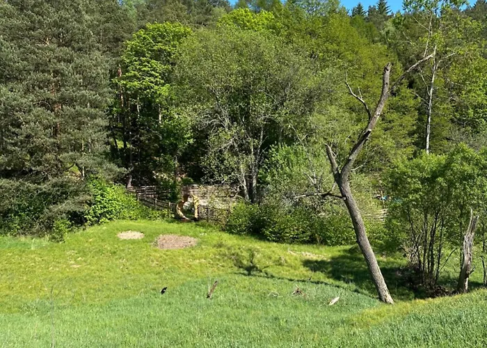 Forrest Glamp Mimo Jablonné v Podještědí